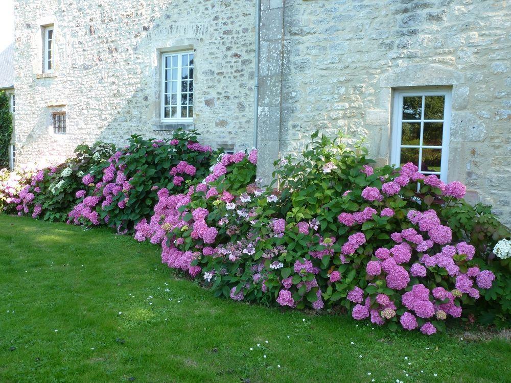 Bed and Breakfast Manoir De Savigny Valognes Exteriér fotografie